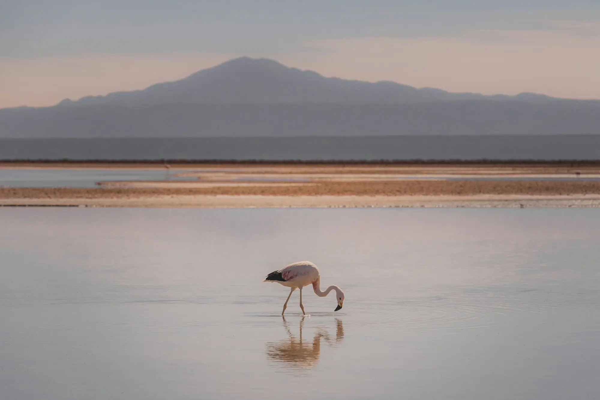 Chile