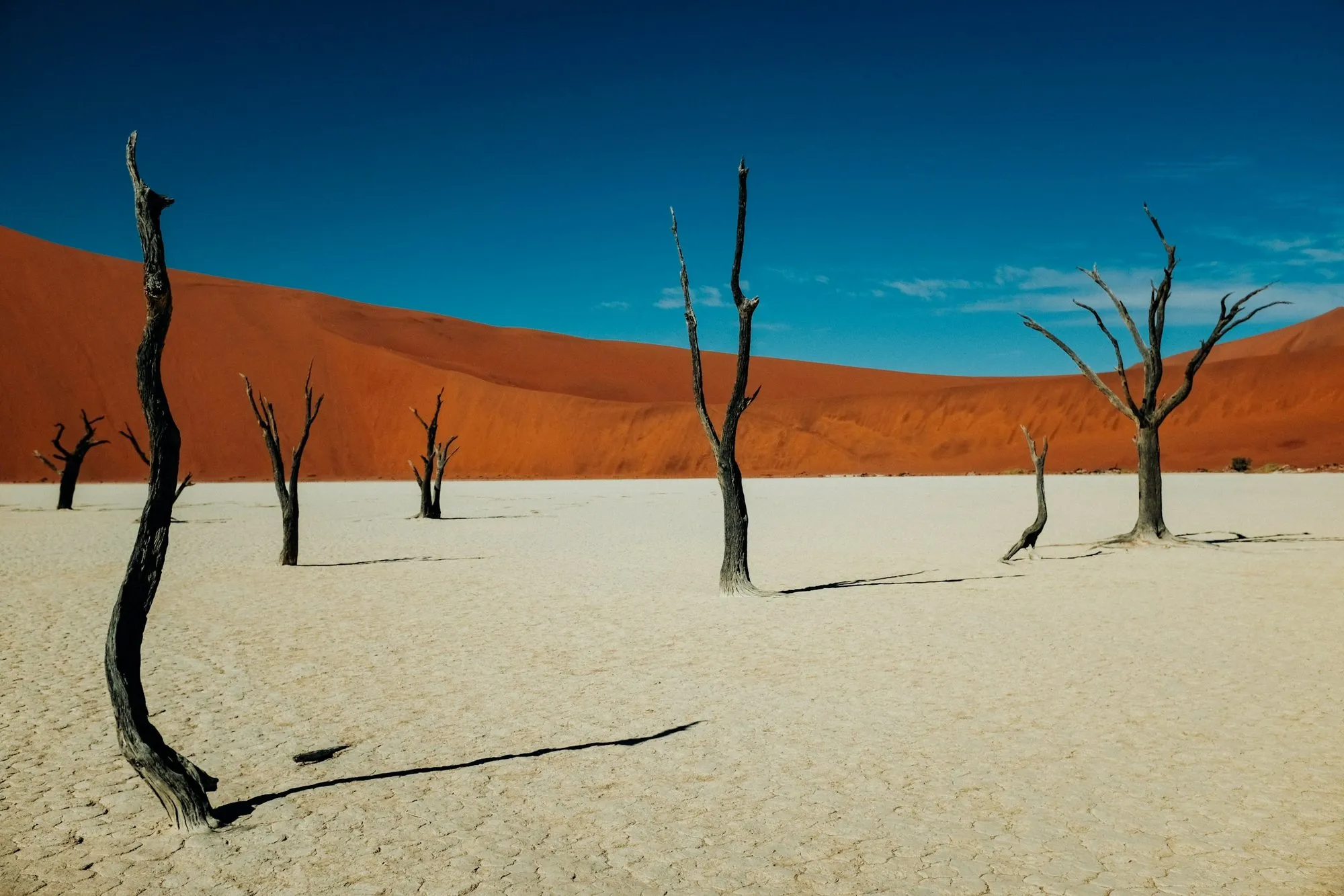 Namibia by private plane